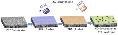 Graphene Oxide Incorporated Forward Osmosis Membranes With Enhanced Desalination Performance and Chlorine Resistance